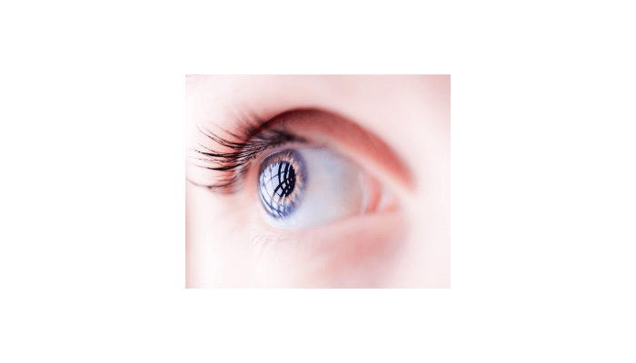 The Vital Role of the Cornea in Your Vision